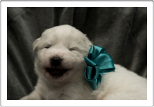 Capture One Session0065_1